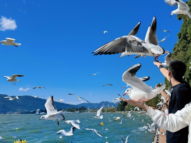 TOUR CÔN MINH - ĐẠI LÝ - LỆ GIANG - SHANGRILA 6N5D